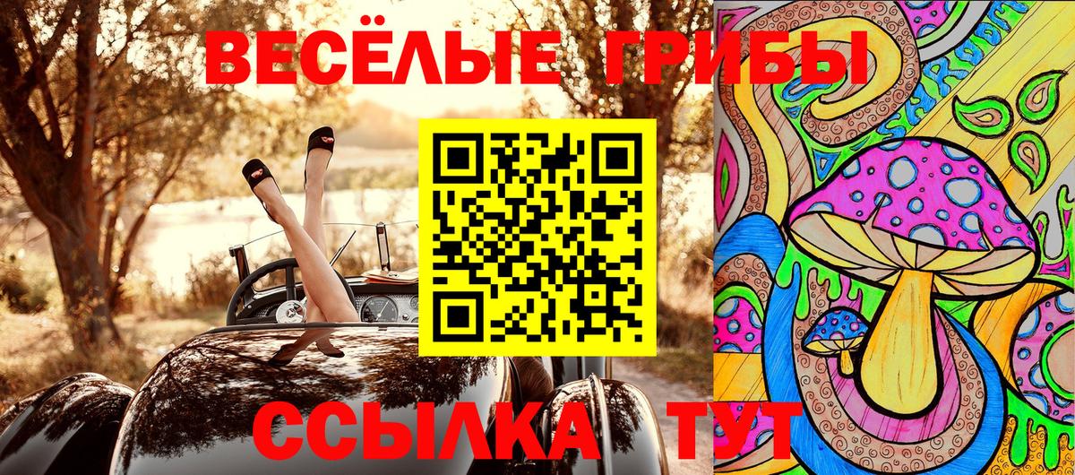 Псилоцибиновые грибы Cubensis  Псилоцибиновые грибы MAGIC MUSHROOMS  Красногорск  Вход с VPN 